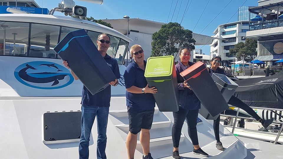 How Auckland Whale and Dolphin Safari Stay Sustainable on the Waters
