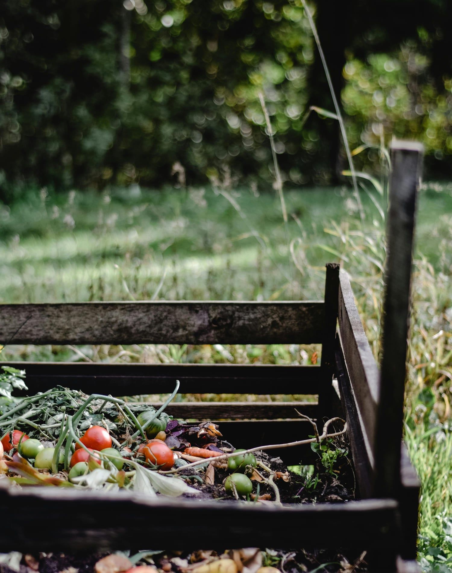 Building a Home Compost