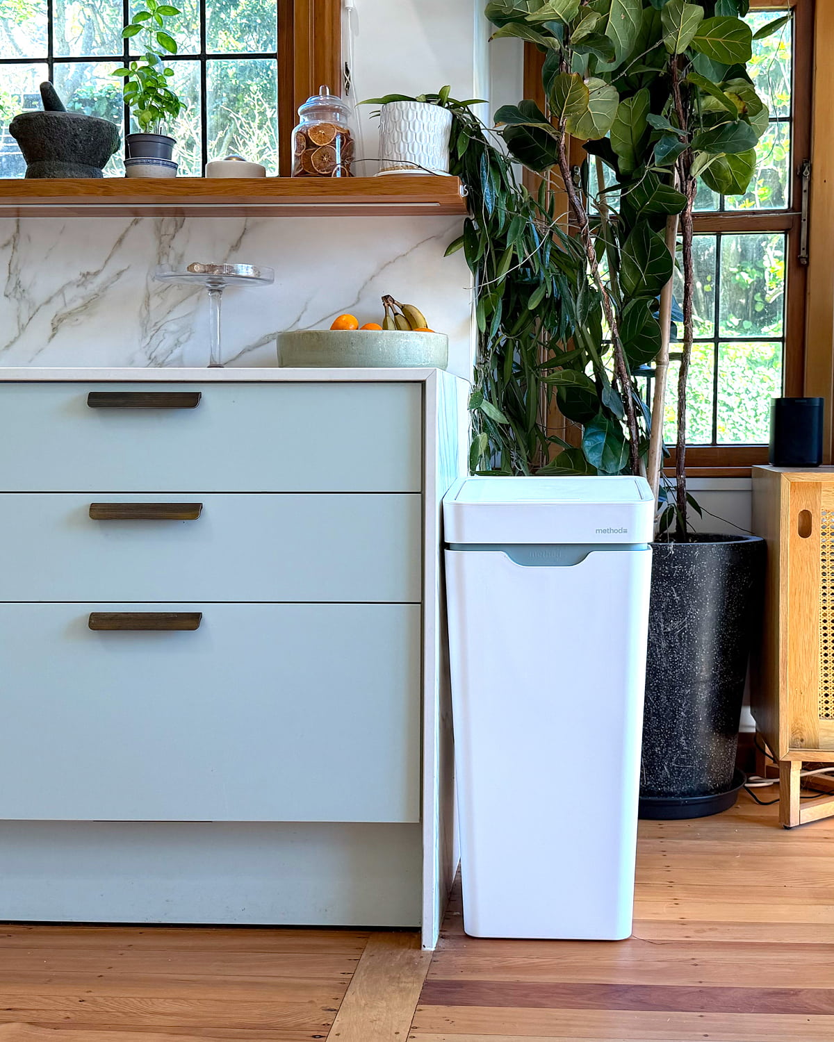 A white Mono between pale green kitchen drawers and a potted fig, by a window