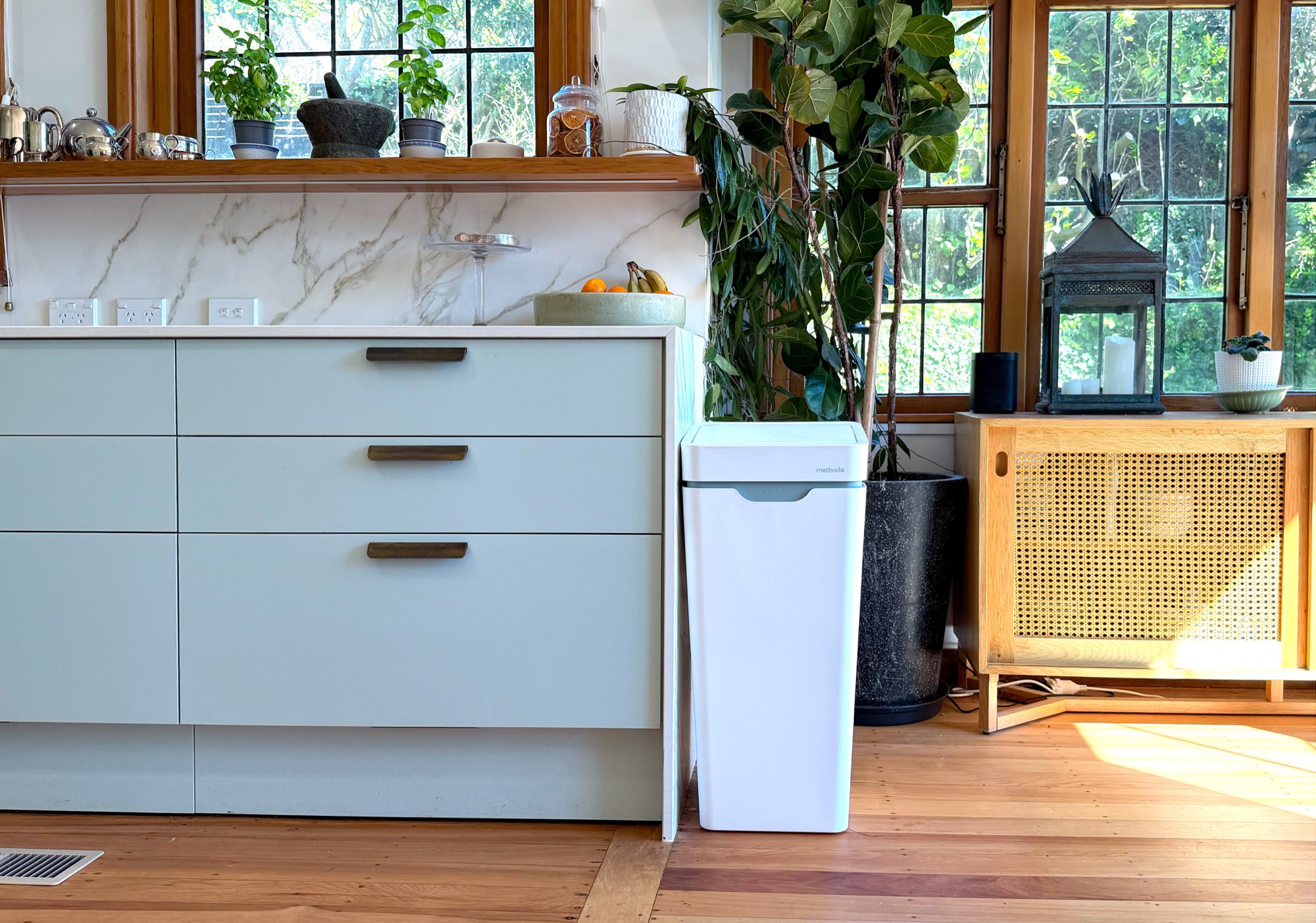 A white Mono between sage kitchen drawers and a potted fig, by windows onto a garden